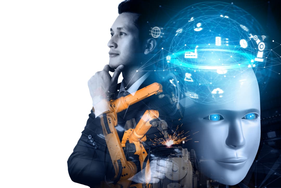 program image