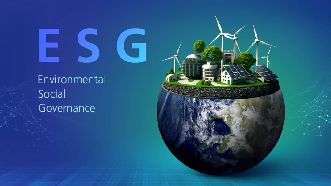 program image